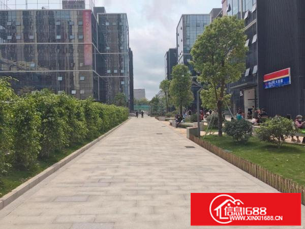 办公;电商;贸易之首选;3800平方层;200平起可分租