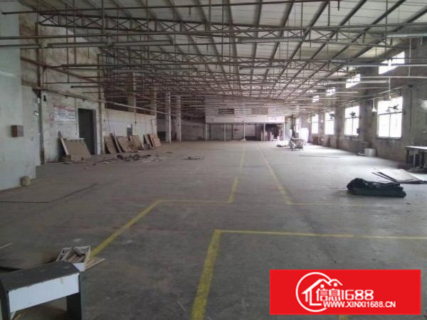 惠州秋长新出标准钢构厂房2800平方滴水7米原房东