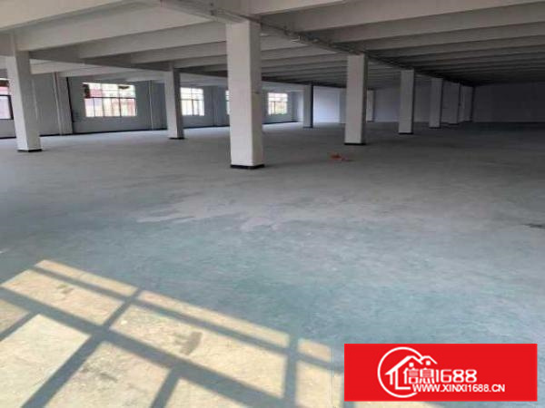 （非中介）佛山南海里水全新标准厂房出租（业主直租）超低价笋！