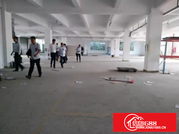 豪华三层独院厂房出租）凤岗8000平米电子厂房出租