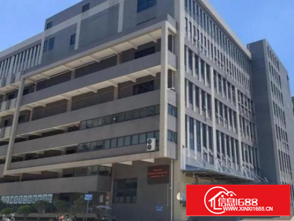 万江大型产业园厂房出租