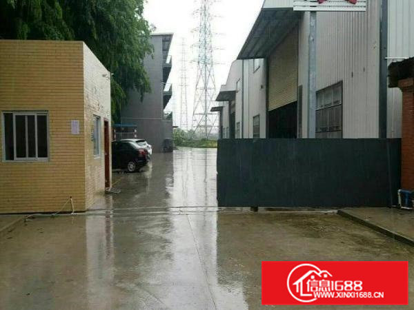 横沥镇田头村附近精致独门独院钢构厂房招租1200