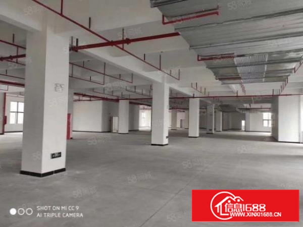 万江新出原房东独门独院楼房厂房出租