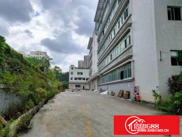 狮头岭和平工业园200平起分租1100平精装仓库厂房出租