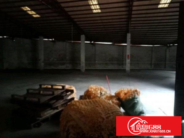 一楼铁皮房，交通非常便利