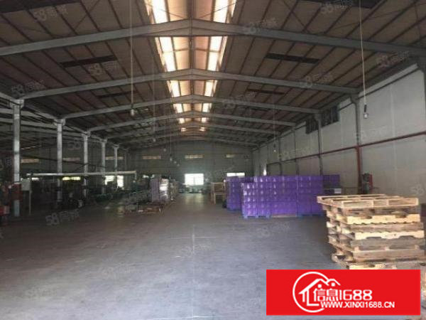 107国道边单一层厂房出租2000平高度10米仓库物流加工等