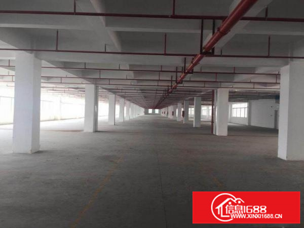 大浪服装基地即将空出原房东二楼三楼每层2300平厂