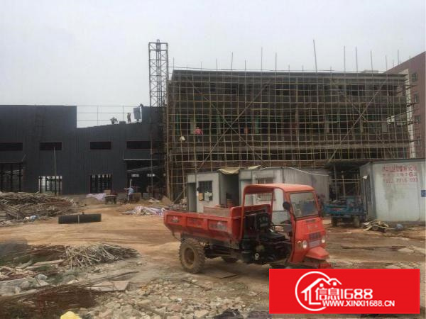 虹领路独门独院全新厂房出租