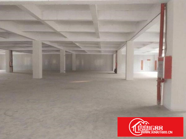 清溪新出楼上四楼标准厂房1226平米带装修招租