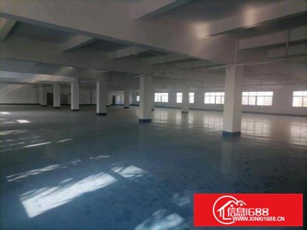 高埗镇冼沙路段花园式厂房