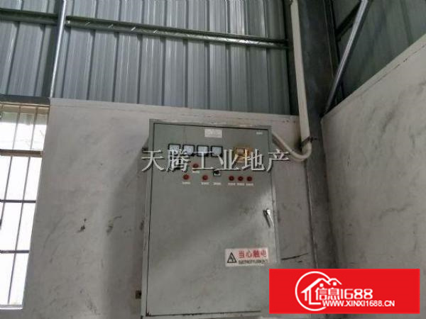 大良首层2000方高10米电100千瓦