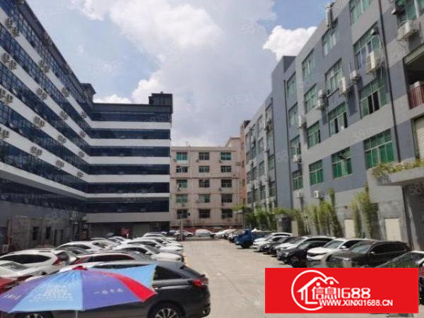 龙华大浪河背工业区现成精装修办公室900平，一楼厂房500平