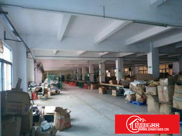 佛新1100平方独院厂房出租标准空地大停车位足