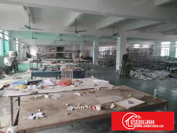 塘厦外环高速口原房东独院6500平，500平起分租