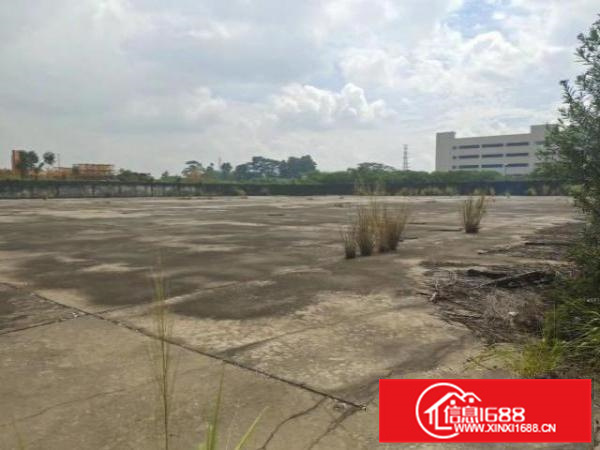 狮北新空出园区式厂房出租。