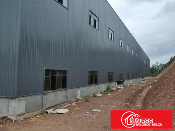 新圩镇隆全新7000平方钢构出租