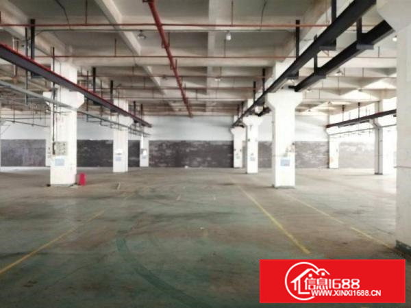 清溪大路边，1到5楼500平起分租，价格低于10元起