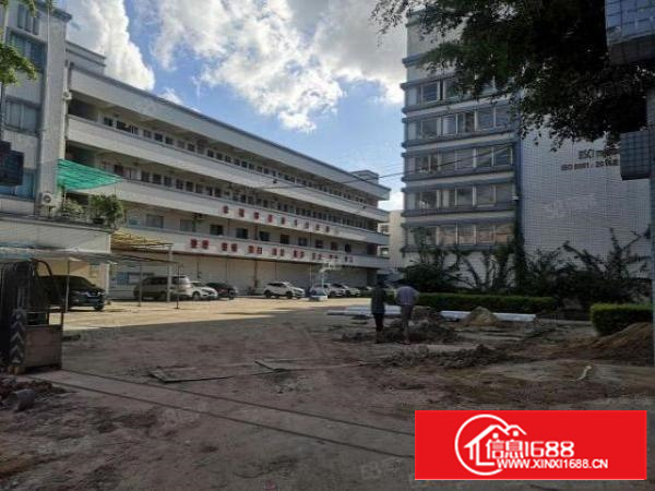 茶山原房东标经典独院厂房13层4700，带消防喷淋，