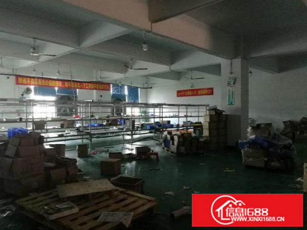 松岗燕川1200平厂房出租，带办公室，靠近主干道