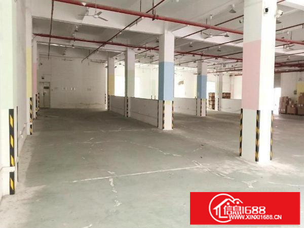 坂田高速路口新出一楼2000平出租可分带卸货平台空地大