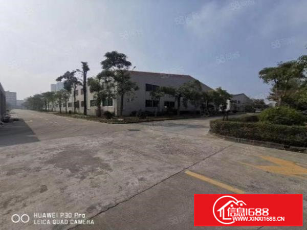 横沥石涌工业区新出独栋单一层钢结构厂房5000平方滴水8米