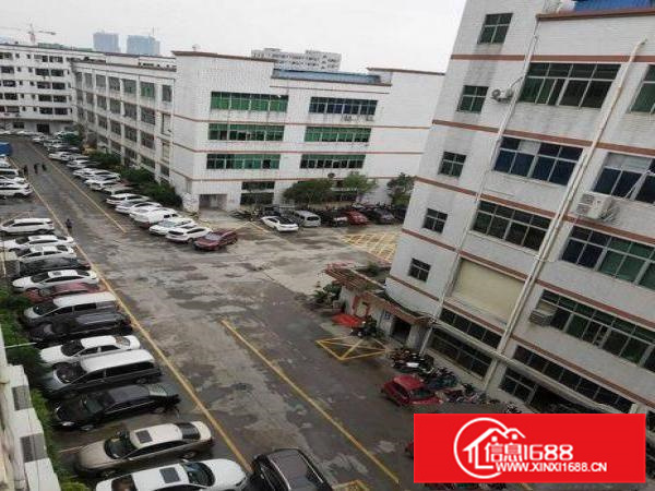 博罗长宁厂房出租800平整租，楼上2部大货梯装修好