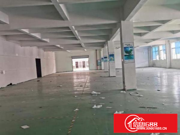 容桂扁滘标准厂房3楼出租