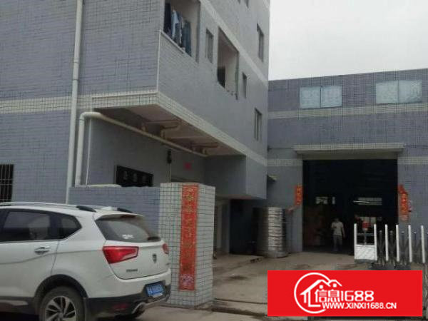 光明新坡头独院钢构2500平方，滴水6.5米全新装修招租