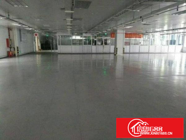 龙岗宝龙新出独院厂房12500平方18块租