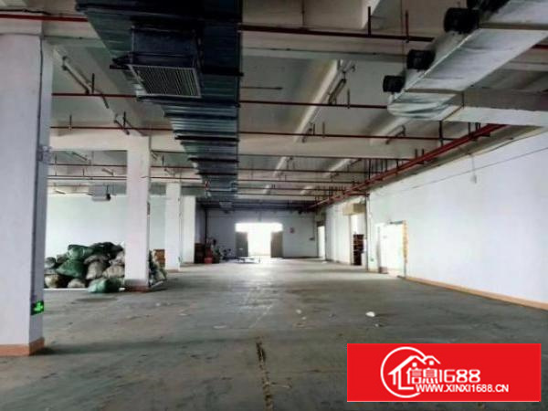 东莞万江新出独门独院厂房出租原房东