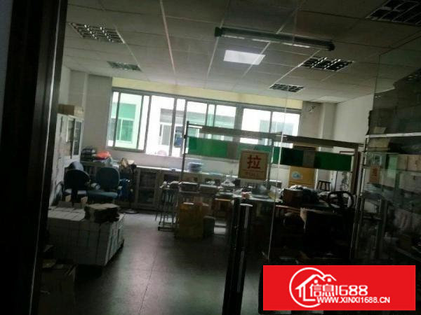 坂田新出全新厂房带装修出租