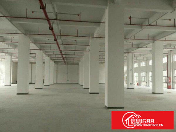 平湖新木村委一楼1000平方米标准厂房原房东急租