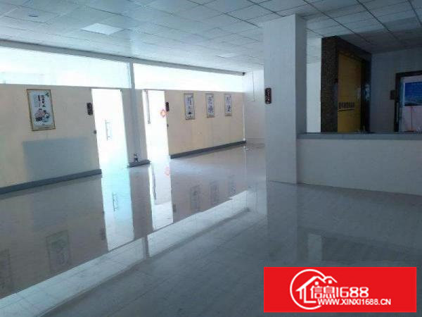 龙岗南联地铁口原房东420平精装办公室出租