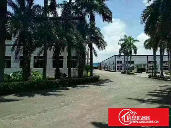 桥头石水口10米单层厂房有证