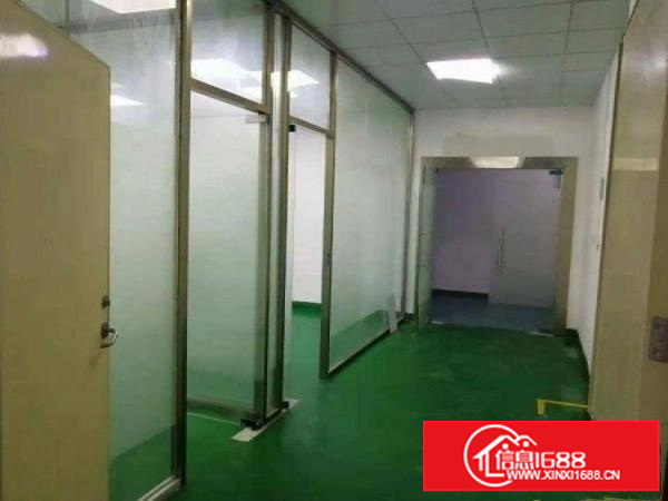 出租龙岗区坂田新出楼上350平米豪华装修厂房