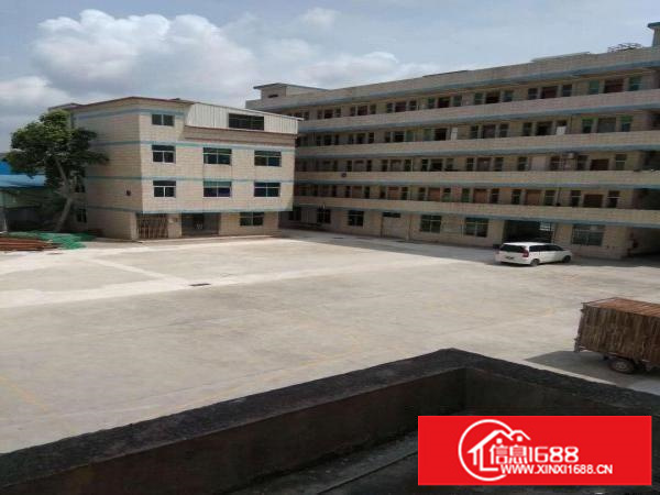 平湖新木村委附近2900平方9米高钢构出租，质优价廉