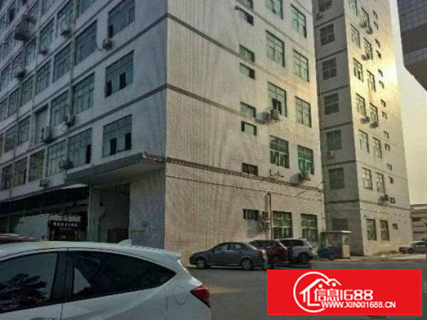 出租布吉布吉街新出400平方