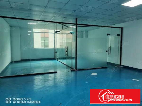 风岗金凤凰标准厂房1200平，精装地坪漆电子加工行业等