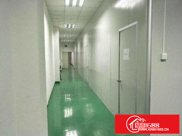 常平元江元新出700平米厂房豪华装修招租