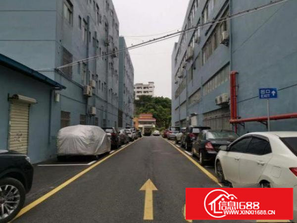 百鸽笼地铁可园旁工业区300.500.1000平方出租