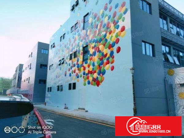 坂田天虹商场附近经典小独院3115平和1000平两栋