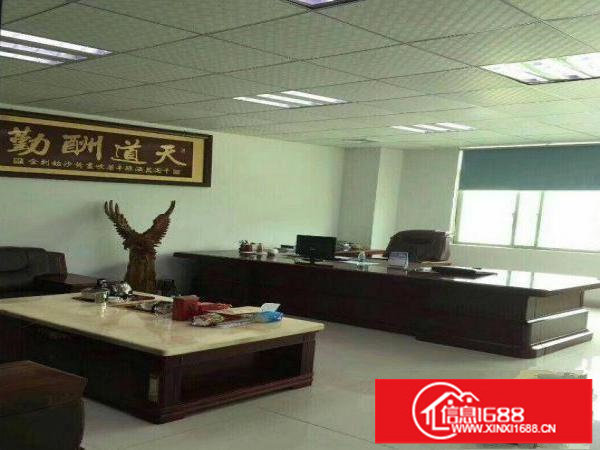 龙岗区沙荷路新出一楼500平，带行车厂房出租