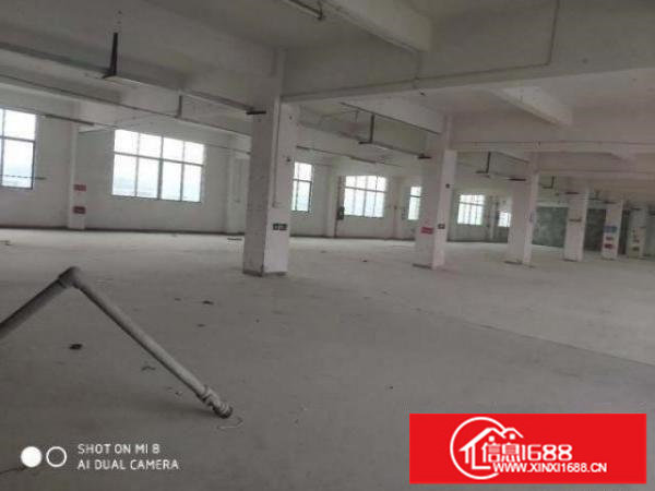 工业区新空出1楼1500平层高7米厂房可分租