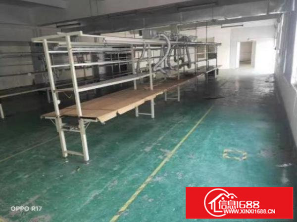 独门独户一楼，大小可分租