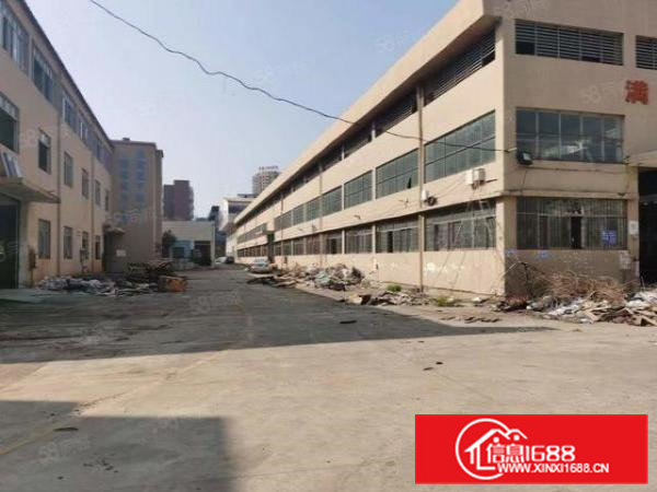 大岭山石大路边新出钢构厂房8500平厂房出租滴水10米带牛角