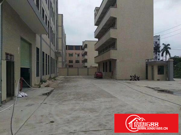 大岭山镇全新独院厂房厂房5000平米