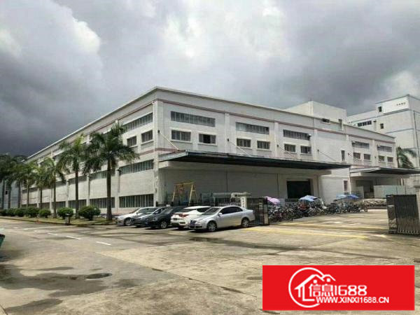 龙岗高新区原房东独院厂房出租厂房12层12000平红本面积