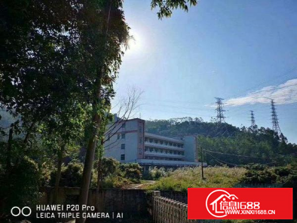 惠阳新圩长布钢构厂房一楼分租500平方