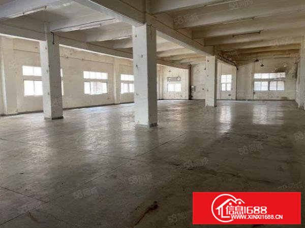 大朗靠松山湖原房东带红本1楼6.5米高900平标准厂房出租