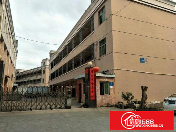 坪山坪环工业区新出独院厂房3300平宿舍1500平